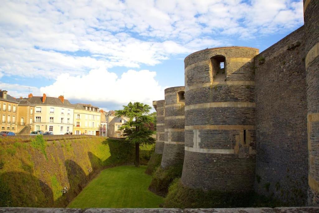 Angers Centre- Gare - Chateau - Duplex 2 Chambres מראה חיצוני תמונה