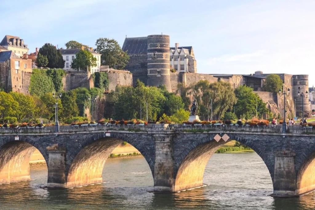 Angers Centre- Gare - Chateau - Duplex 2 Chambres מראה חיצוני תמונה